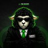 •MarlonTrades•🇿🇦 profil fotoğrafı