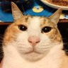 D.A.R.K's profile picture