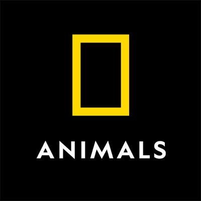 National Geographic Animals's profile picture