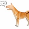 ЀПÑП пÑПÑÐžÐ»Ñ äžç°ç°äž