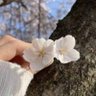 Фото профиля sima