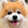 PxTpop profil fotoğrafı