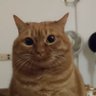udmurt profil fotoğrafı