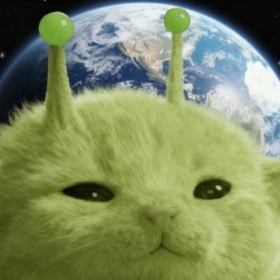 ✿ ʕ⁠っ⁠•⁠ᴥ⁠•⁠ʔ⁠っ ♡ นน ✿'s profile picture