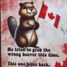 Фото профиля Imperial Leader of Antifa #BuyCanadian #Not51