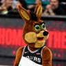 Фото профиля Coyote