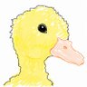 Belac profil fotoğrafı