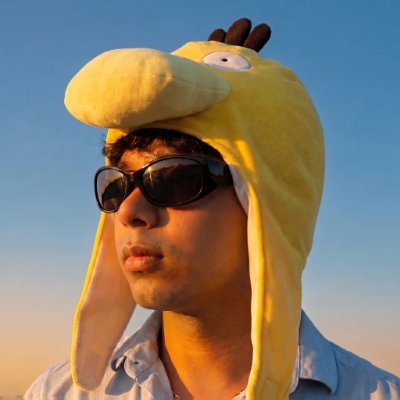 aymducking's profile picture