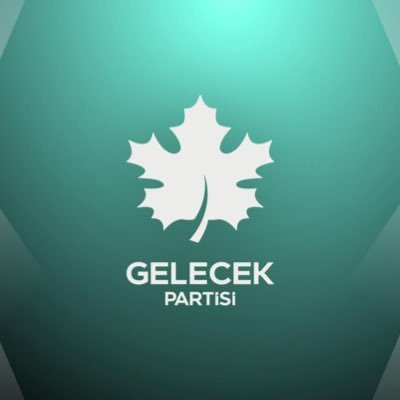 GelecekPartiTR's profile picture
