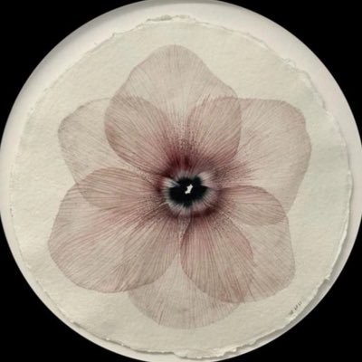 msalm011's profile picture
