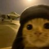 Mustafa's profile picture