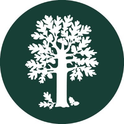 MortonArboretum's profile picture