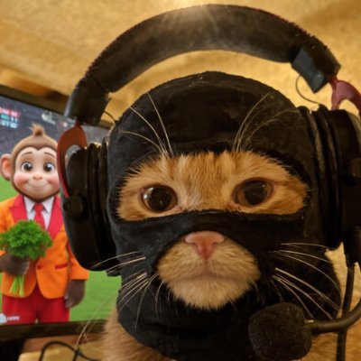 maydonoz.news's profile picture