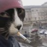 Scoped_pencils's profile picture