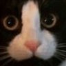 Profilbild von 極霸貓