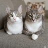 Фото профиля Jackie L