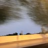 سكولور profil fotoğrafı