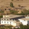 الهادى التهامي بديل2's profile picture