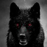 Profilbild von Wolf Crisis 🐺