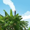 Sang Pemimpi's profile picture