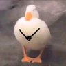 ʎʎɐqǝ 的头像