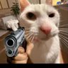 hi jamelle's profile picture