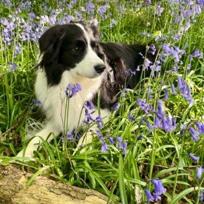 markjohnoneill's profile picture