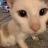 ie profil fotoğrafı