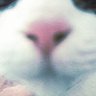พออิ้ง彡☆ profil fotoğrafı