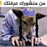 عبيده القدومي 的头像