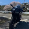 雨宮イルファン 的头像