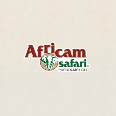 AfricamSafari's profile picture