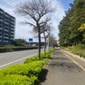 Фото профиля Yamadaichi