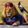 Profilbild von Hokie Nation Nate