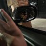 mikelilbrotha's profile picture