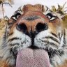 Фото профиля J. Smith