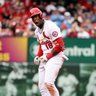 #1 Cardinals fan's profile picture