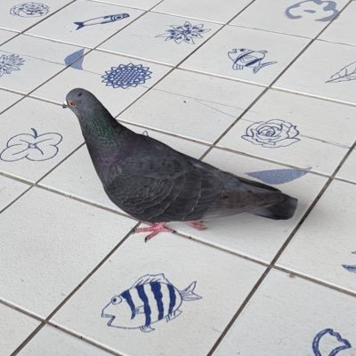Oyuki_is_No1's profile picture