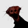 bill's profile picture