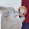 いちみ's profile picture