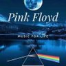 Profilbild von 🎸DAVID💘GILMOUR❤️🔥FLOYD🎸