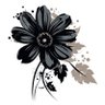 CV Alpha's profile picture