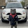 Profilbild von 新能源牛马