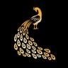 officialHypepeacock profil fotoğrafı