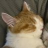 Profilbild von Kill