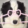 babi ❦.'s profile picture