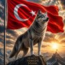 Ahmet Yilmaz profil fotoğrafı