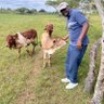 Profilbild von Eric Gatehi🇰🇪
