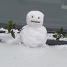 Фото профиля 雪だるマン