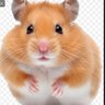 Hammy 的头像
